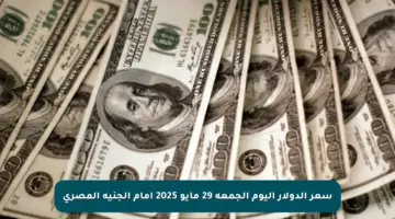 سعر الدولار اليوم الجمعة 29 مايو 2025 أمام الجنيه المصري